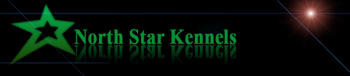 North Star Kennels - Logo